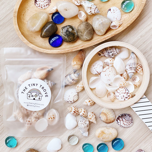 Sea shells