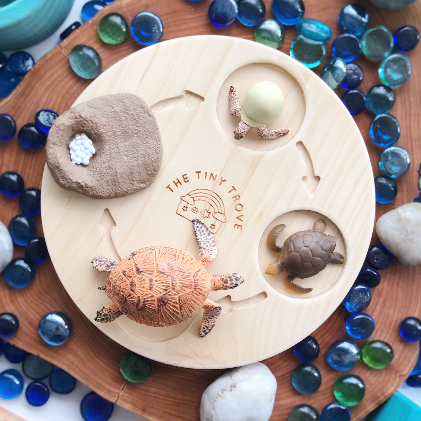 Life Cycle of a Turtle Figurine Set