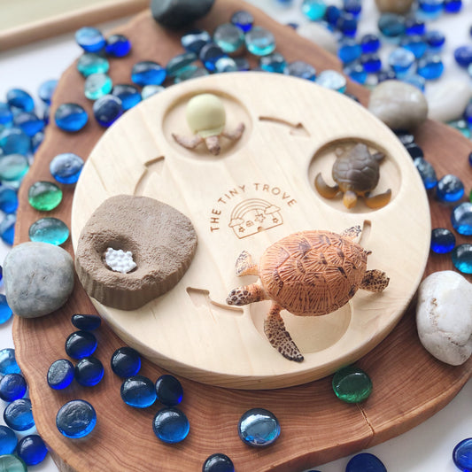 Life Cycle of a Turtle Figurine Set
