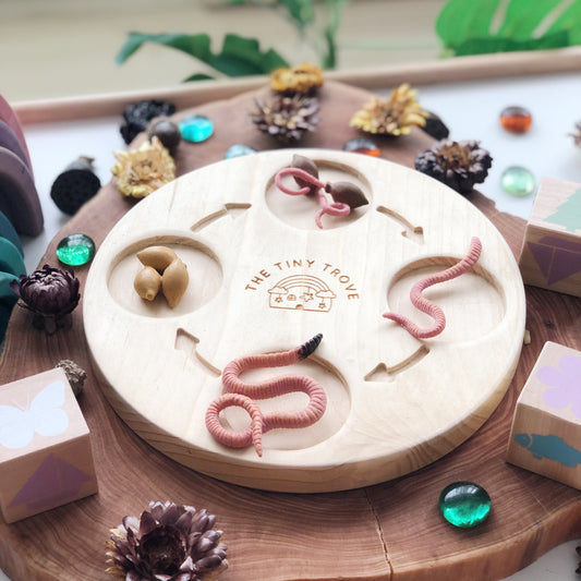 Life Cycle of a Worm Figurine Set