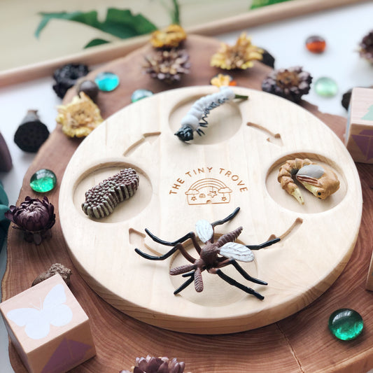 Life Cycle of a Mosquito Figurine Set