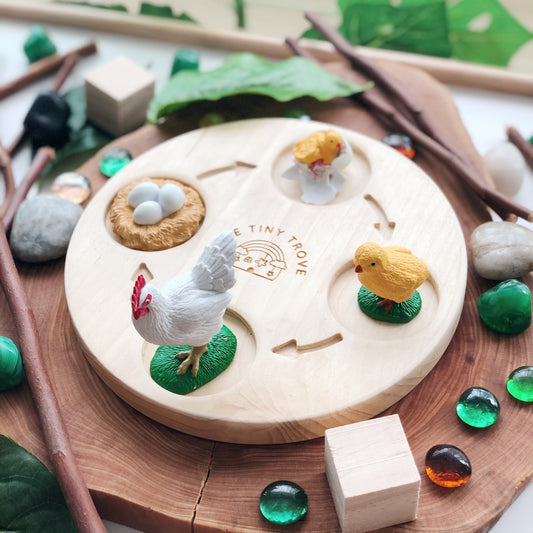 Life Cycle of a Chicken Figurine Set