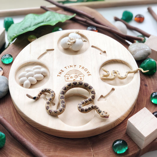 Life Cycle of a Snake Figurine Set