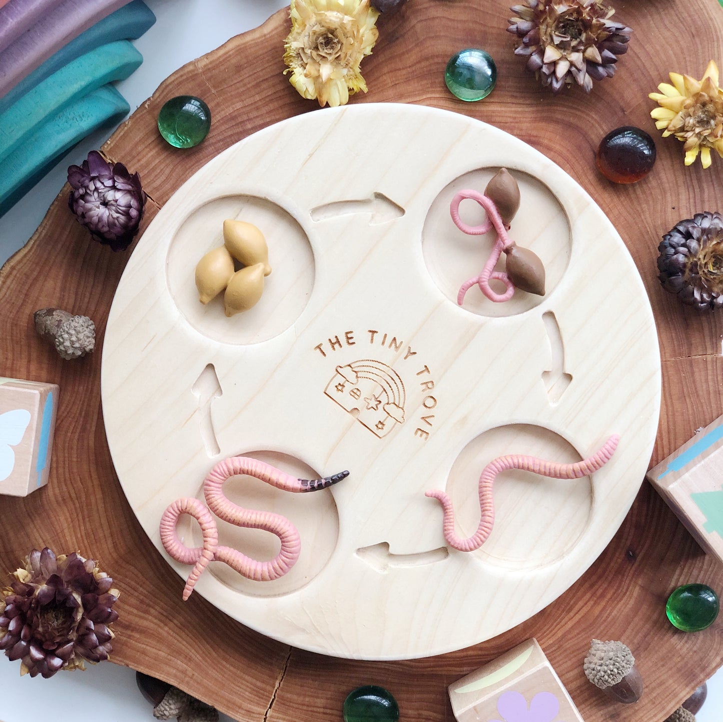 Life Cycle of a Worm Figurine Set