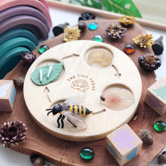 Life Cycle of a Bee Figurine Set