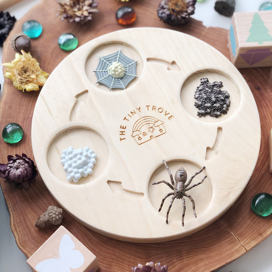 The Tiny Trove Wooden Life Cycle Learning Tray