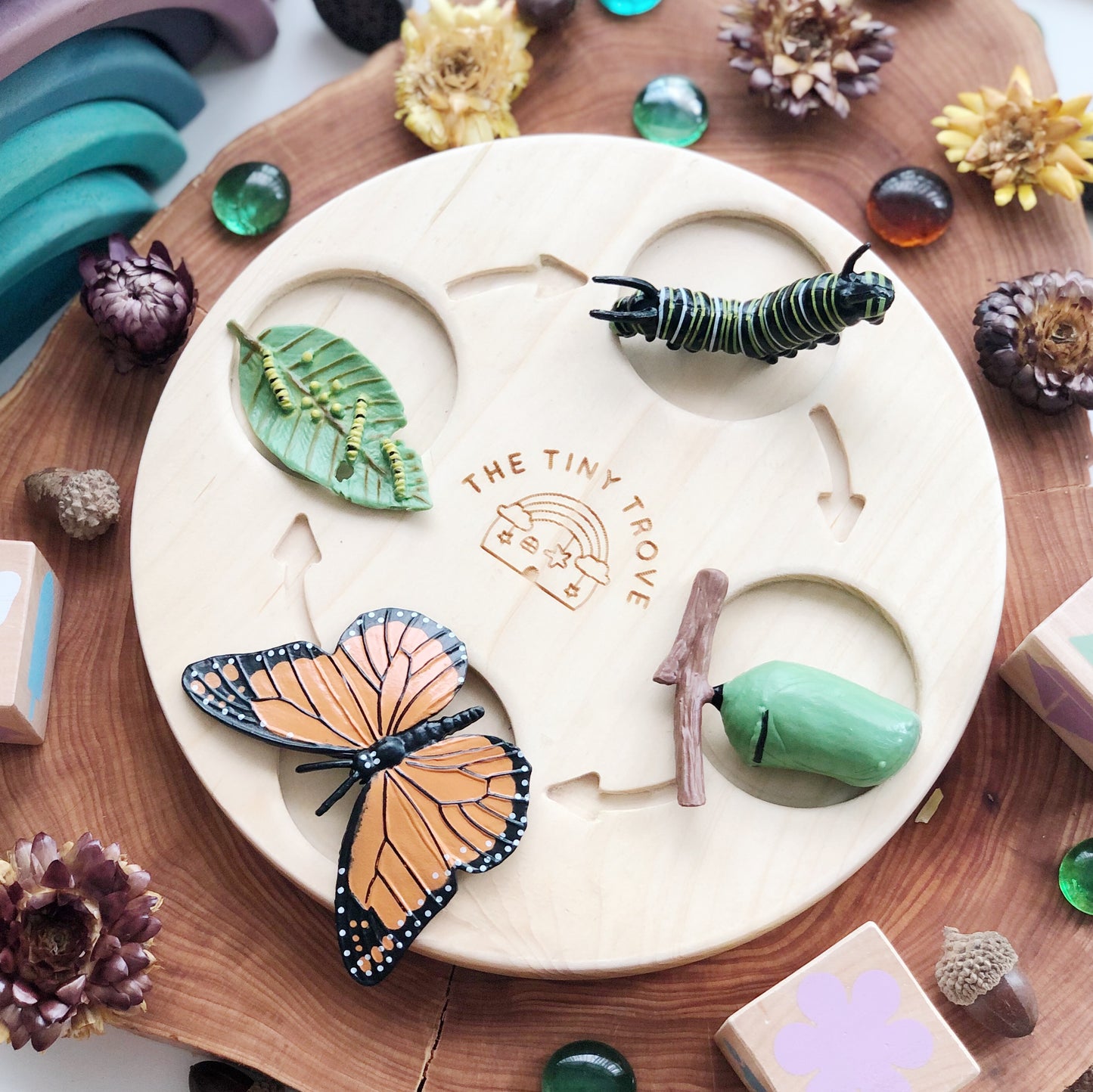 Life Cycle of a Butterfly Figurine Set