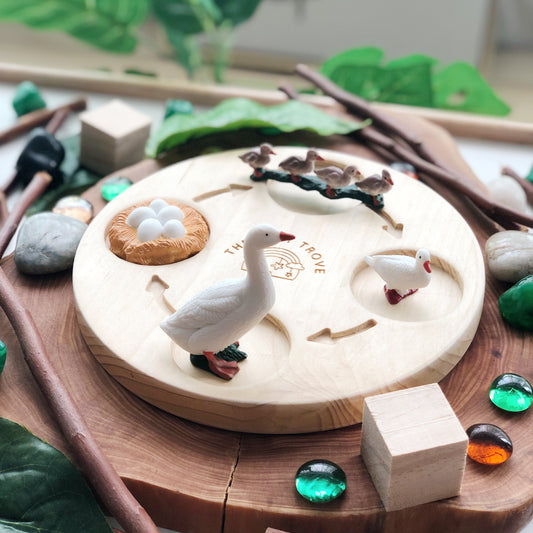 Life Cycle of a Duck Figurine Set