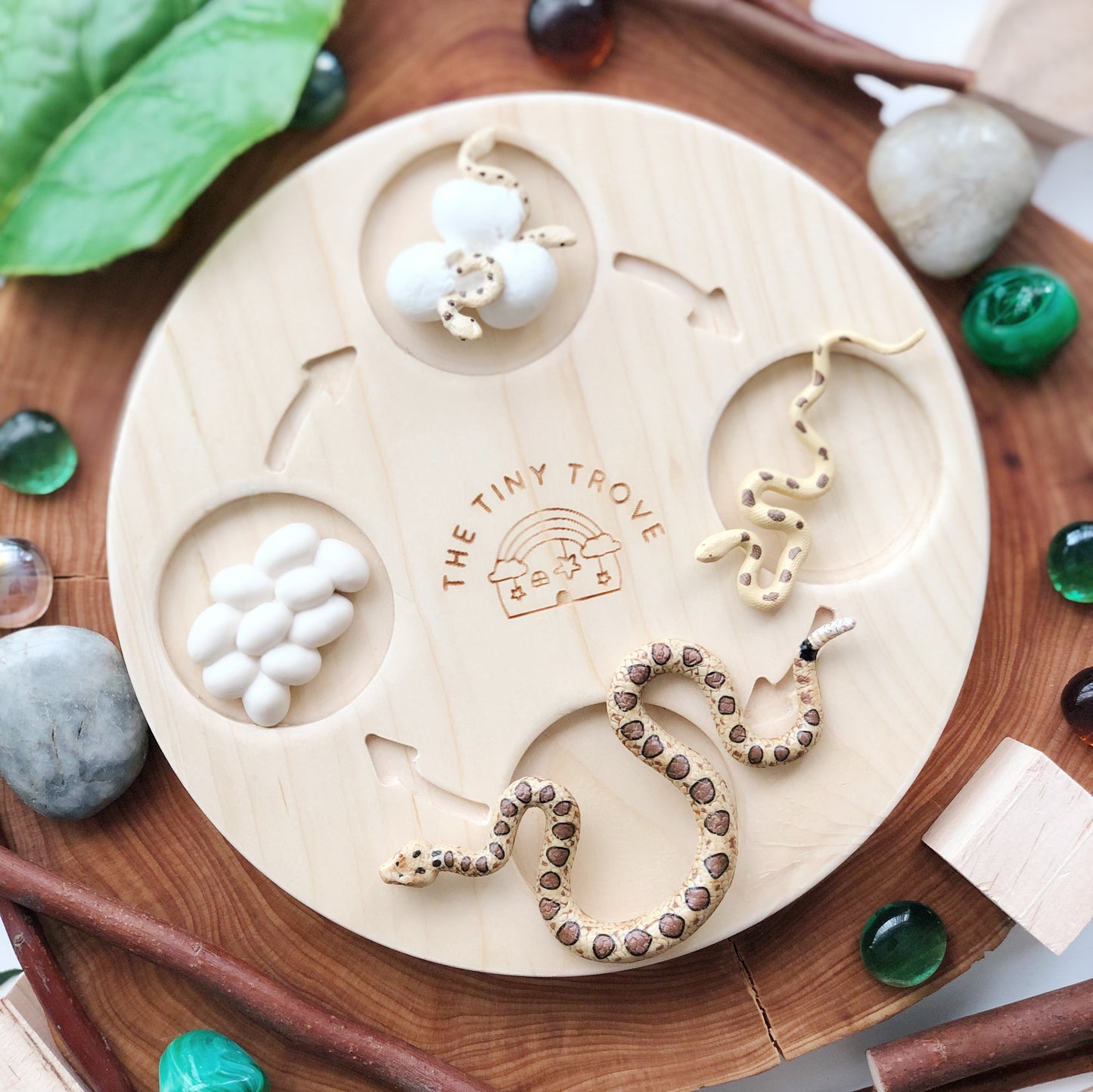 Life Cycle of a Snake Figurine Set