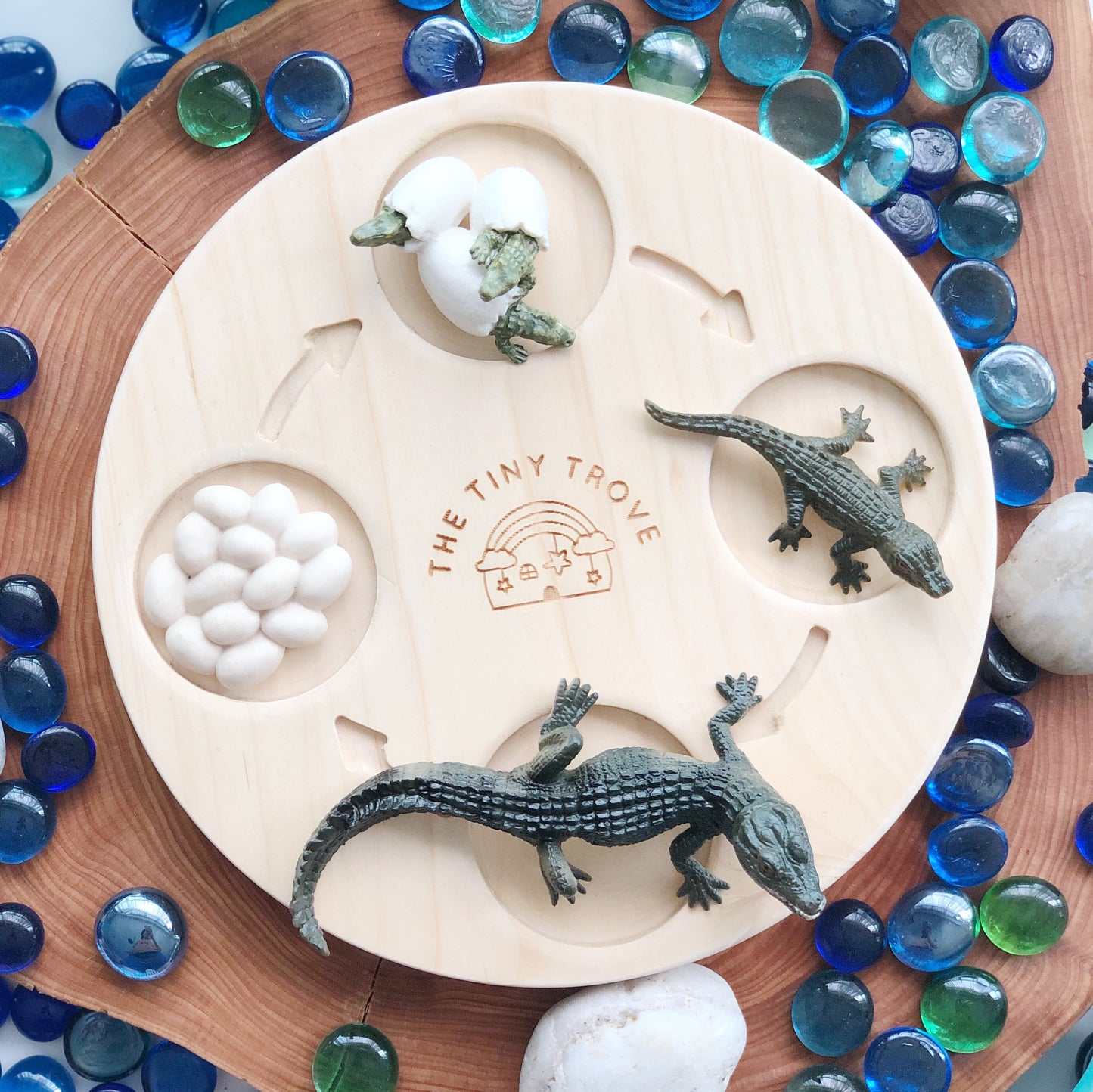 Life Cycle of a Crocodile Figurine Set