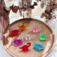 Acrylic Dinosaurs Sensory Loose Parts Pack