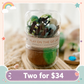Barnyard Farm Play on the Go Jar (Play Dough)