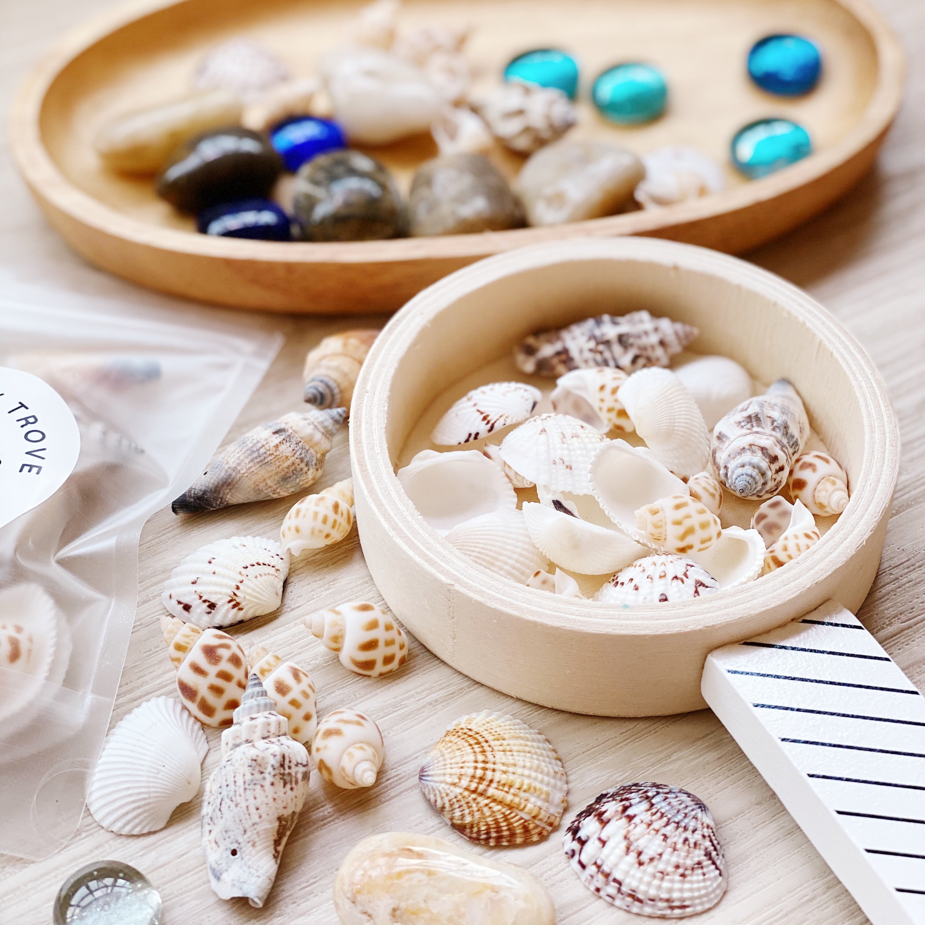 Sea shells