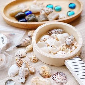 Sea shells