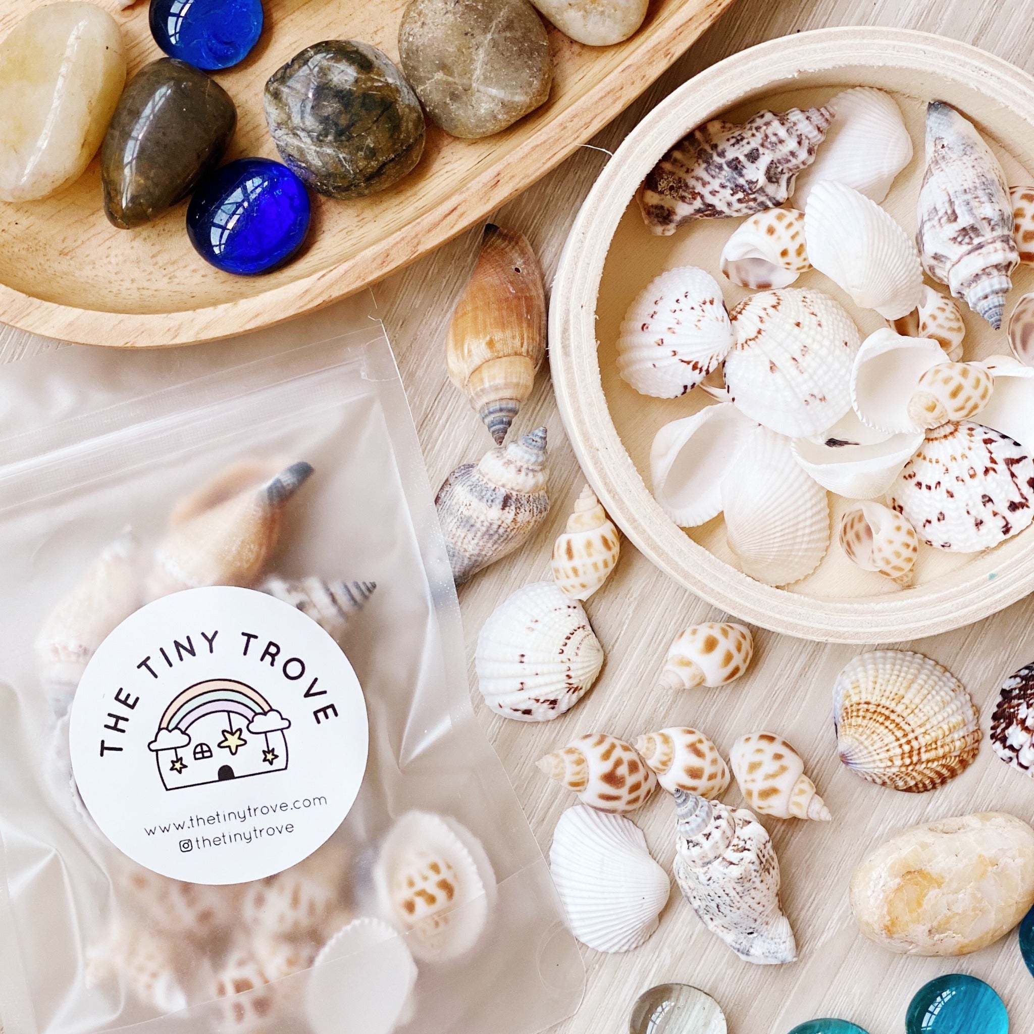 Shell Trove Sea shells – The Tiny Trove