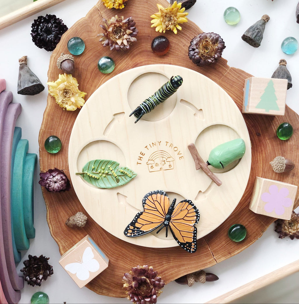 Life Cycle of a Butterfly Figurine Set