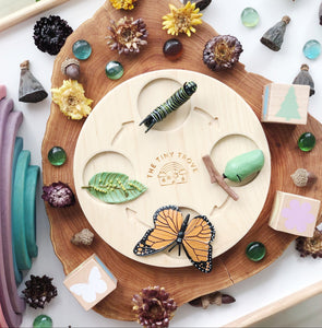 Life Cycle of a Butterfly Figurine Set