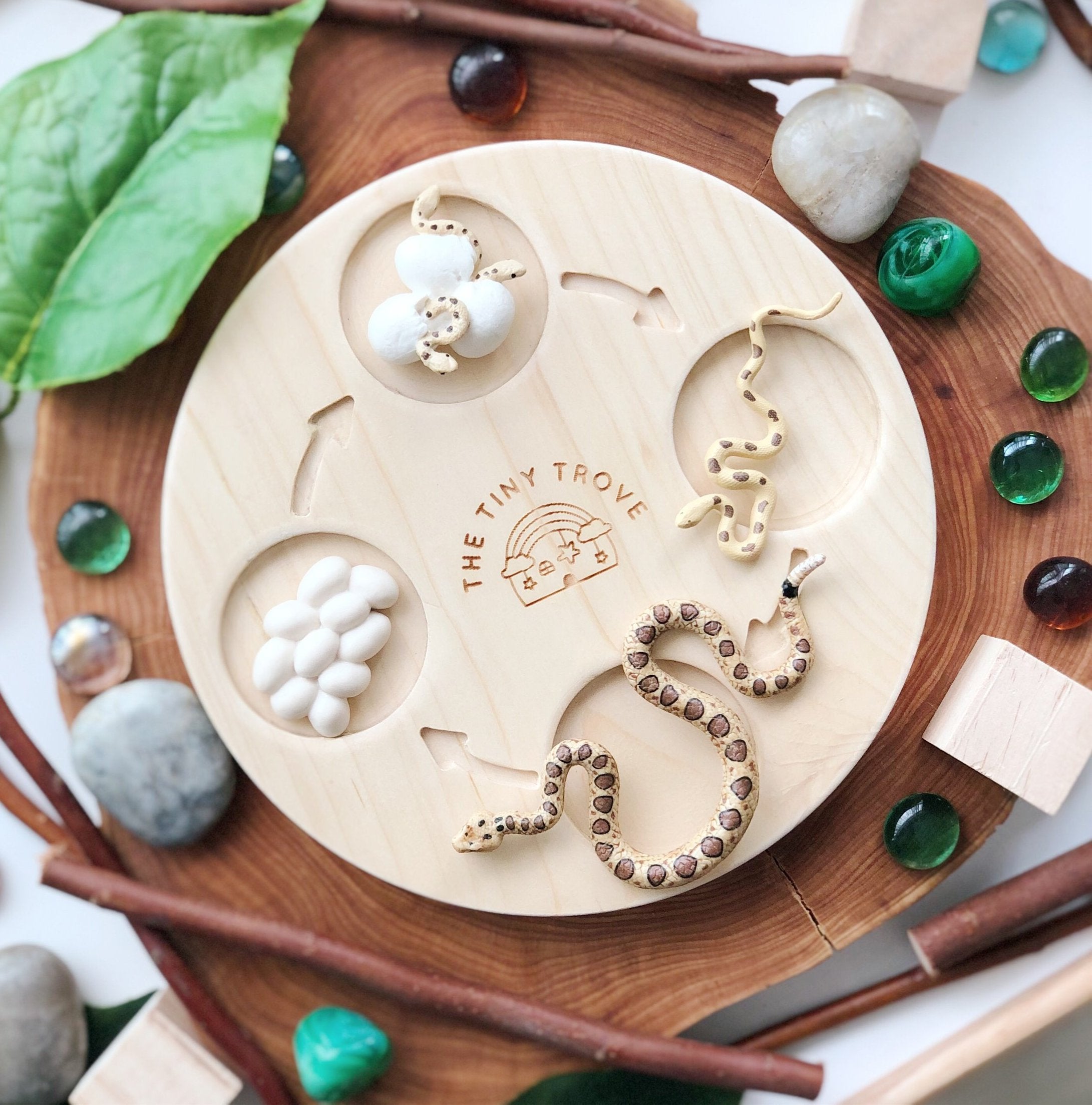 Life Cycle of a Snake Figurine Set