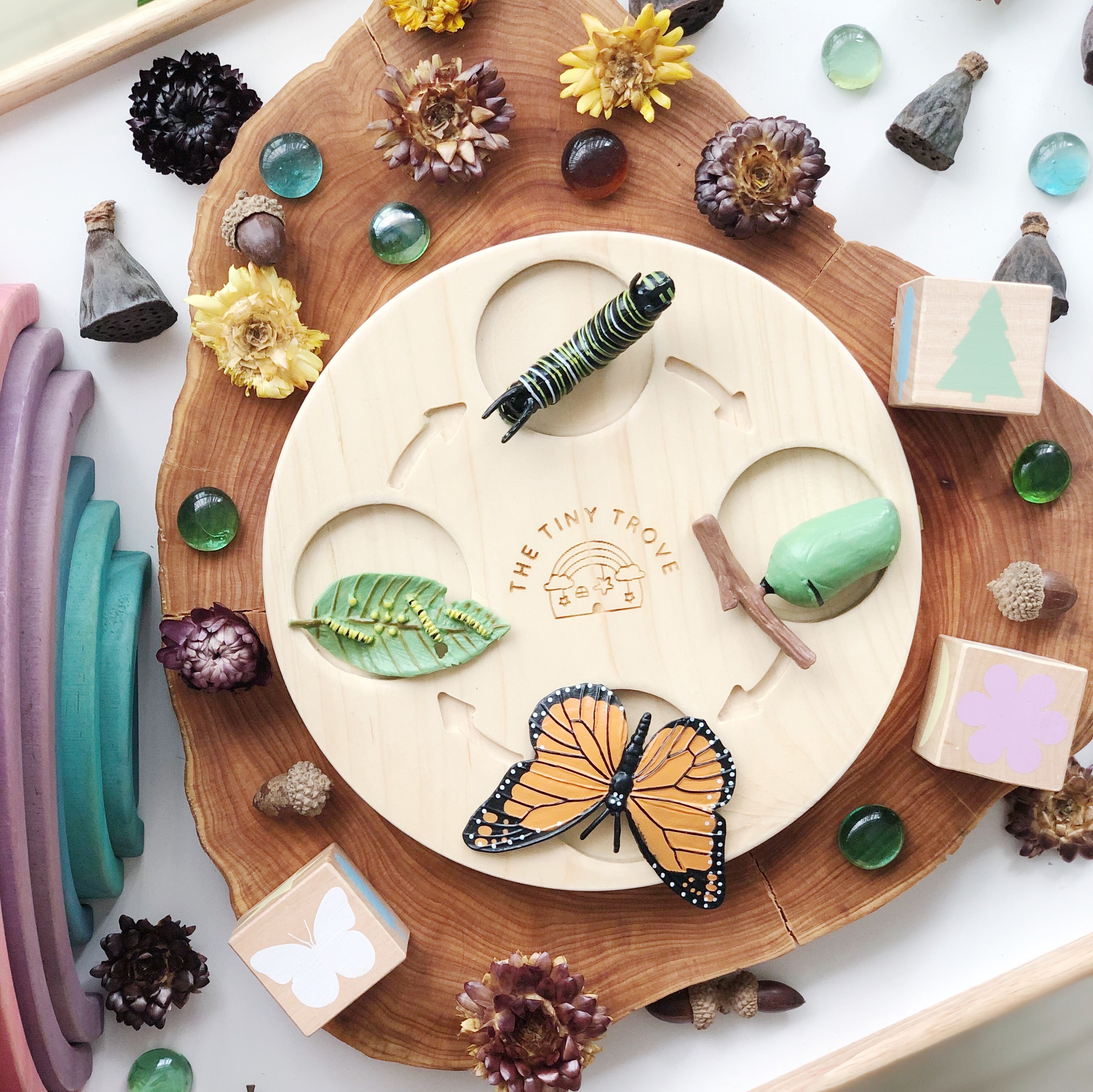 The Tiny Trove Wooden Life Cycle Learning Tray