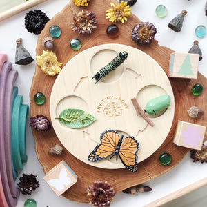 The Tiny Trove Wooden Life Cycle Learning Tray