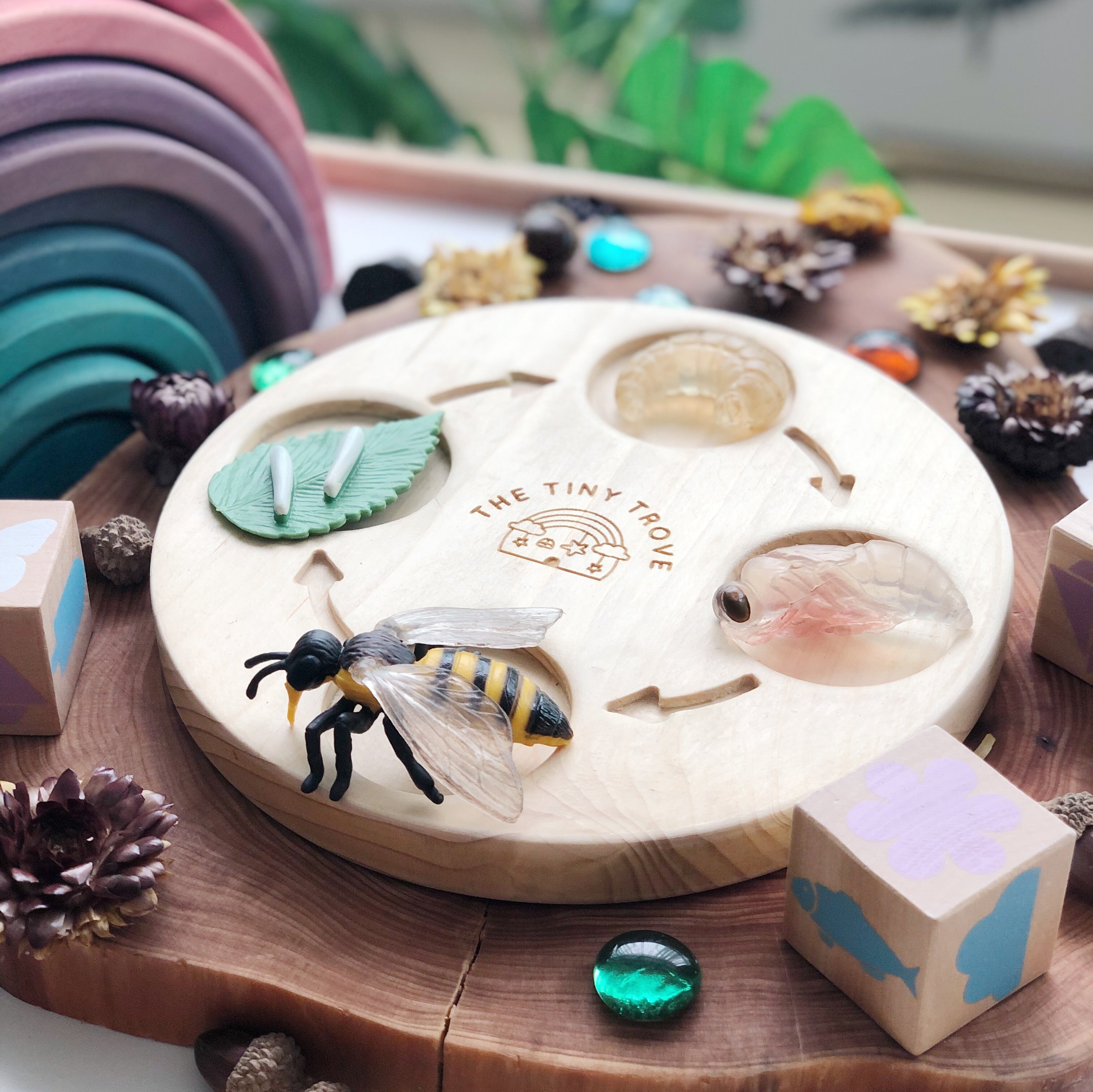 Life Cycle of a Bee Figurine Set