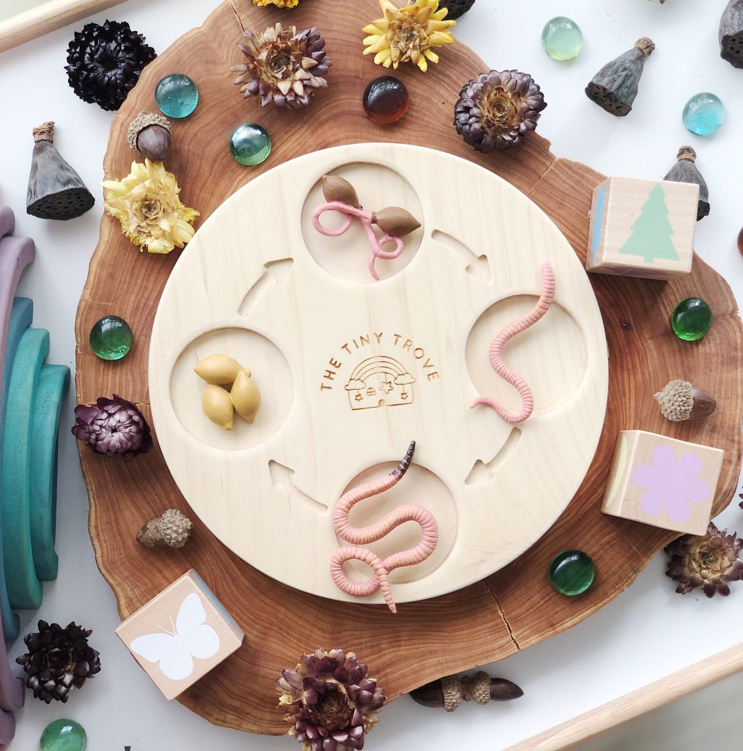 Life Cycle of a Worm Figurine Set