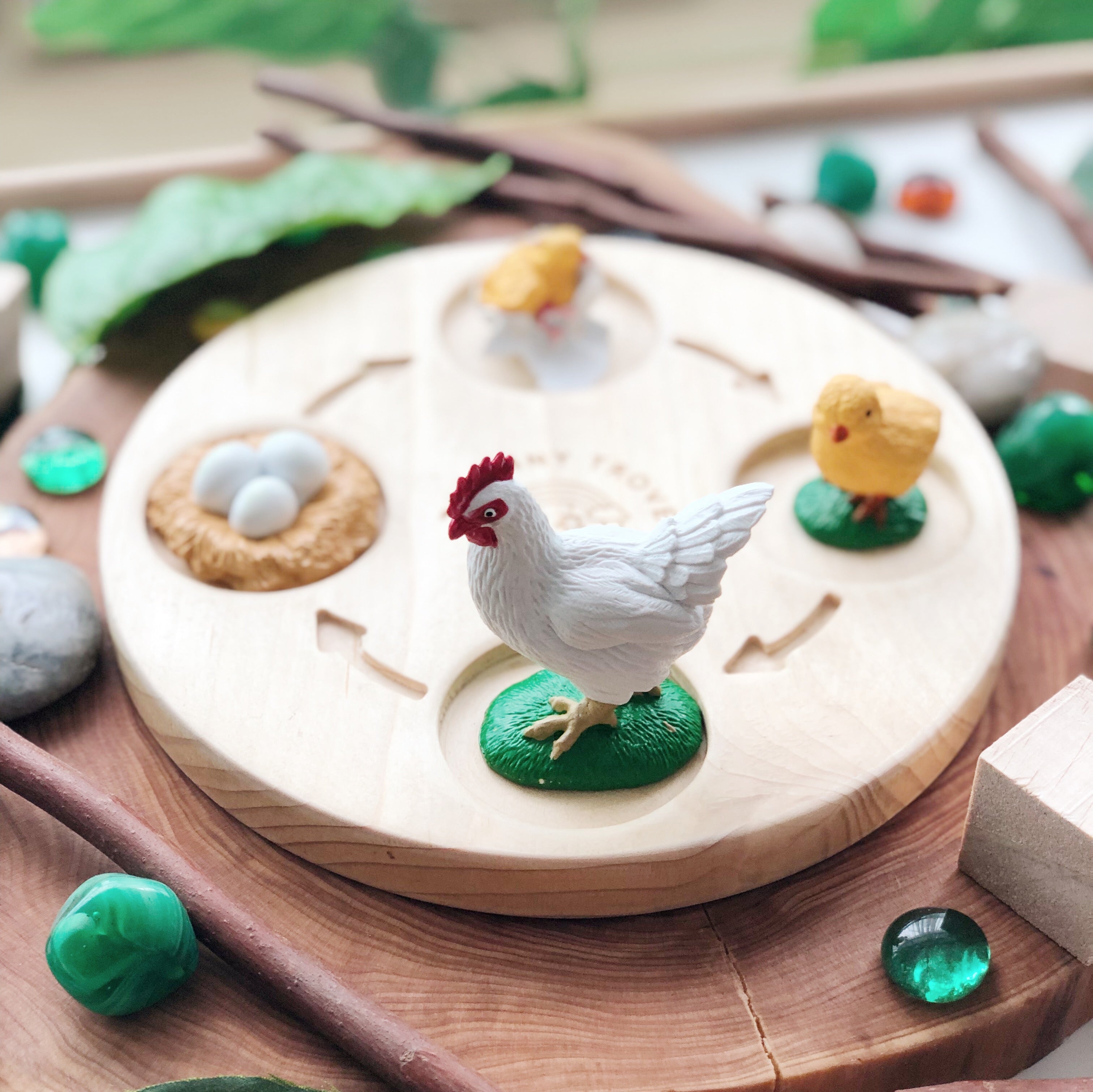 Life Cycle of a Chicken Figurine Set