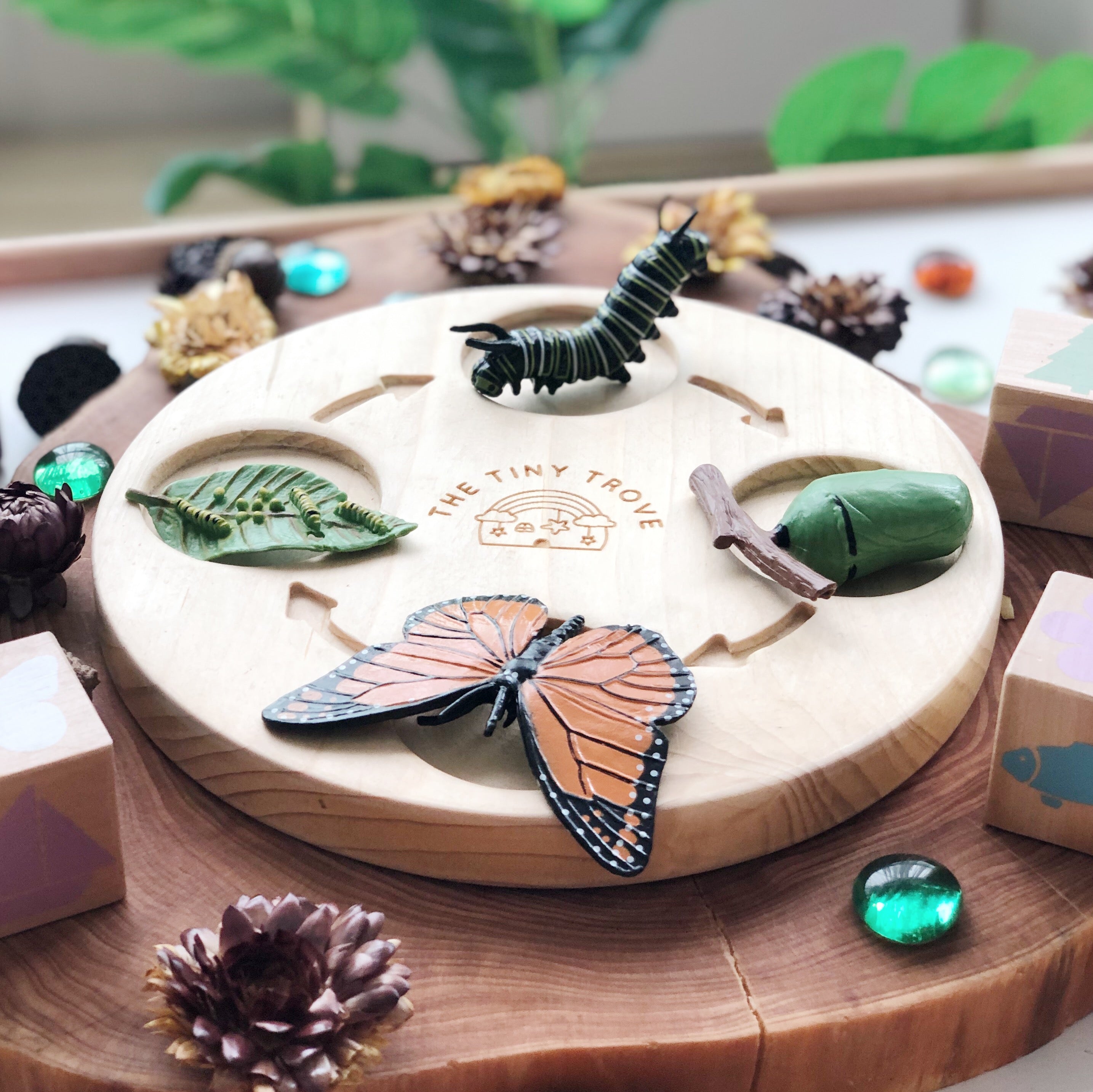 Life Cycle of a Butterfly Figurine Set