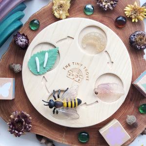 Life Cycle of a Bee Figurine Set
