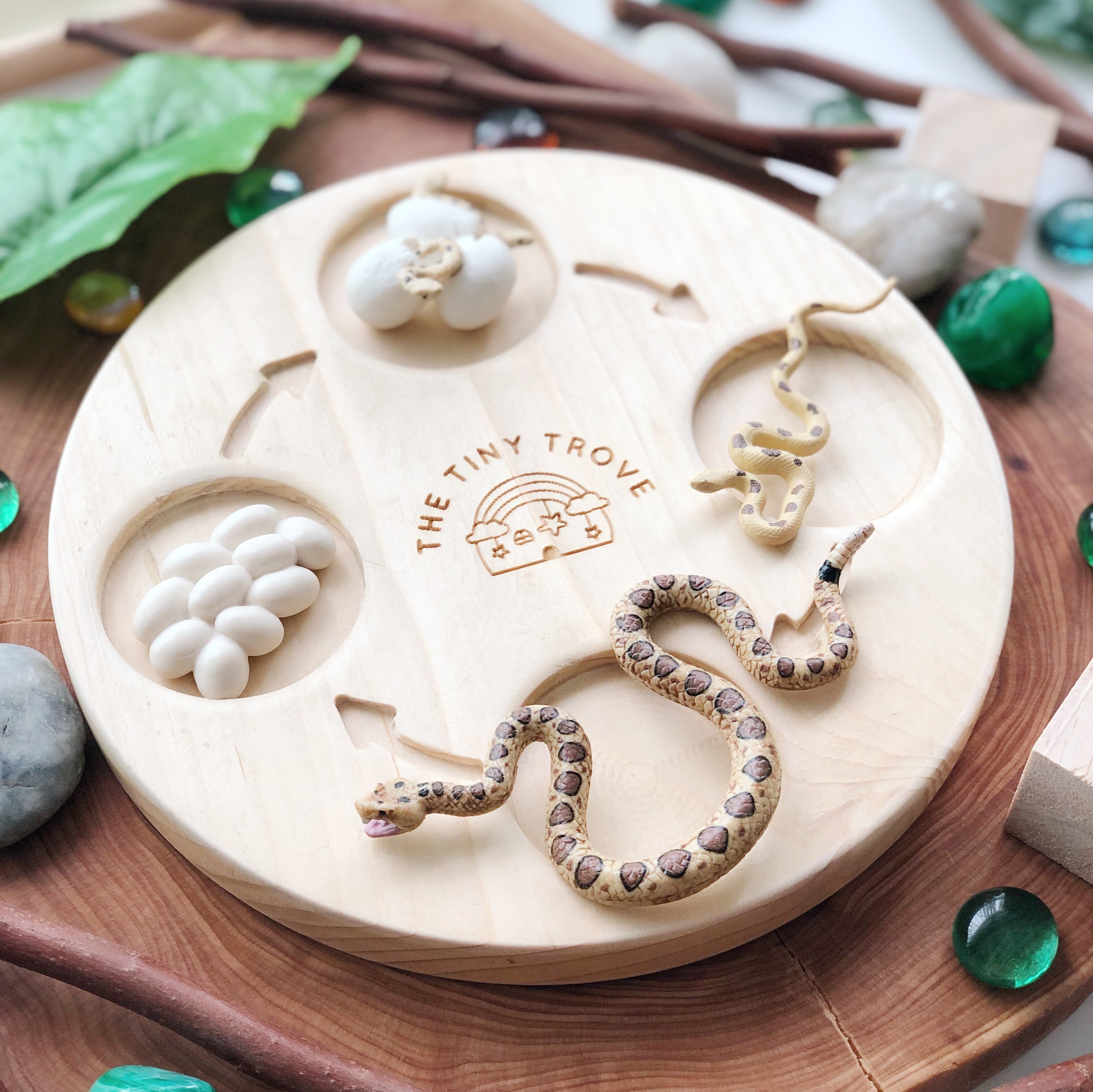 Life Cycle of a Snake Figurine Set
