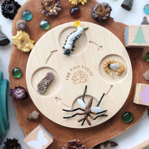 Life Cycle of a Mosquito Figurine Set