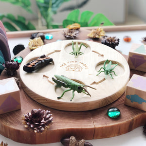 Life Cycle of a Grasshopper Figurine Set