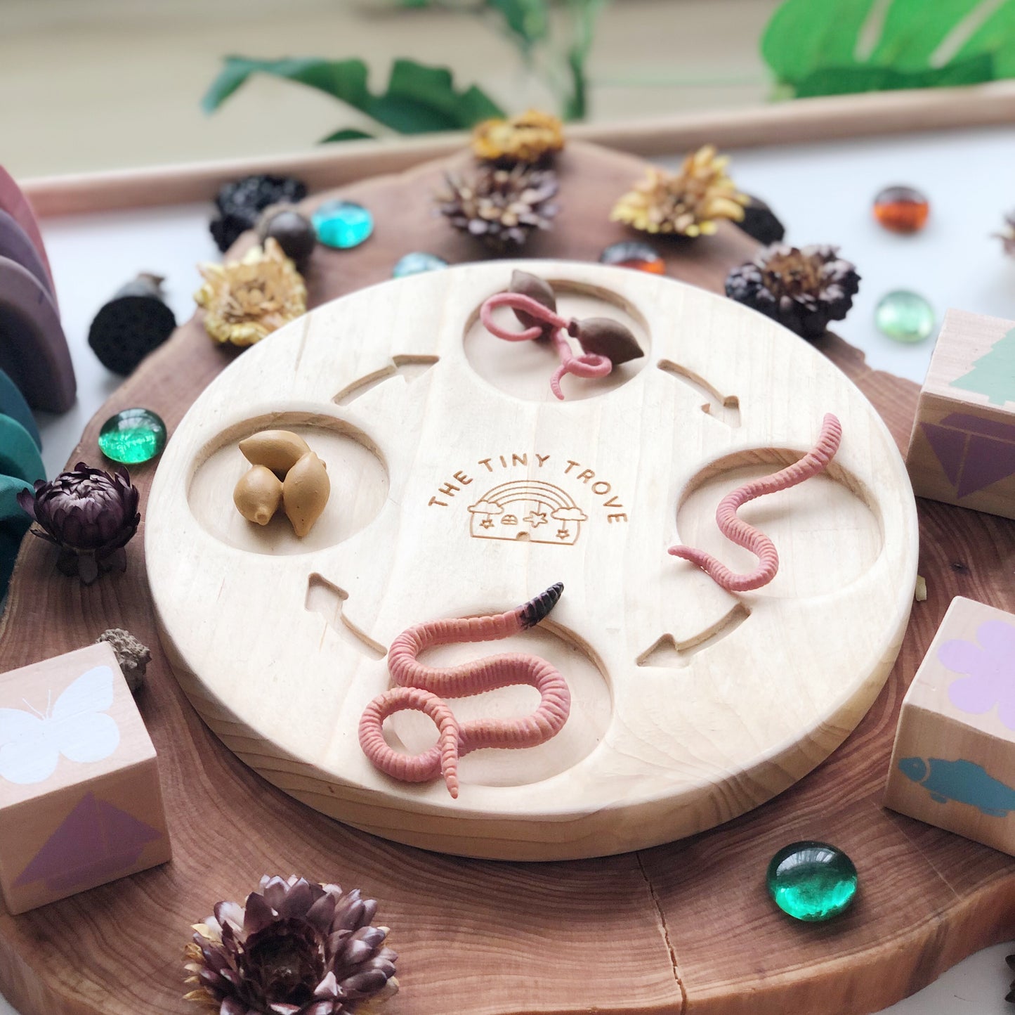 Life Cycle of a Worm Figurine Set