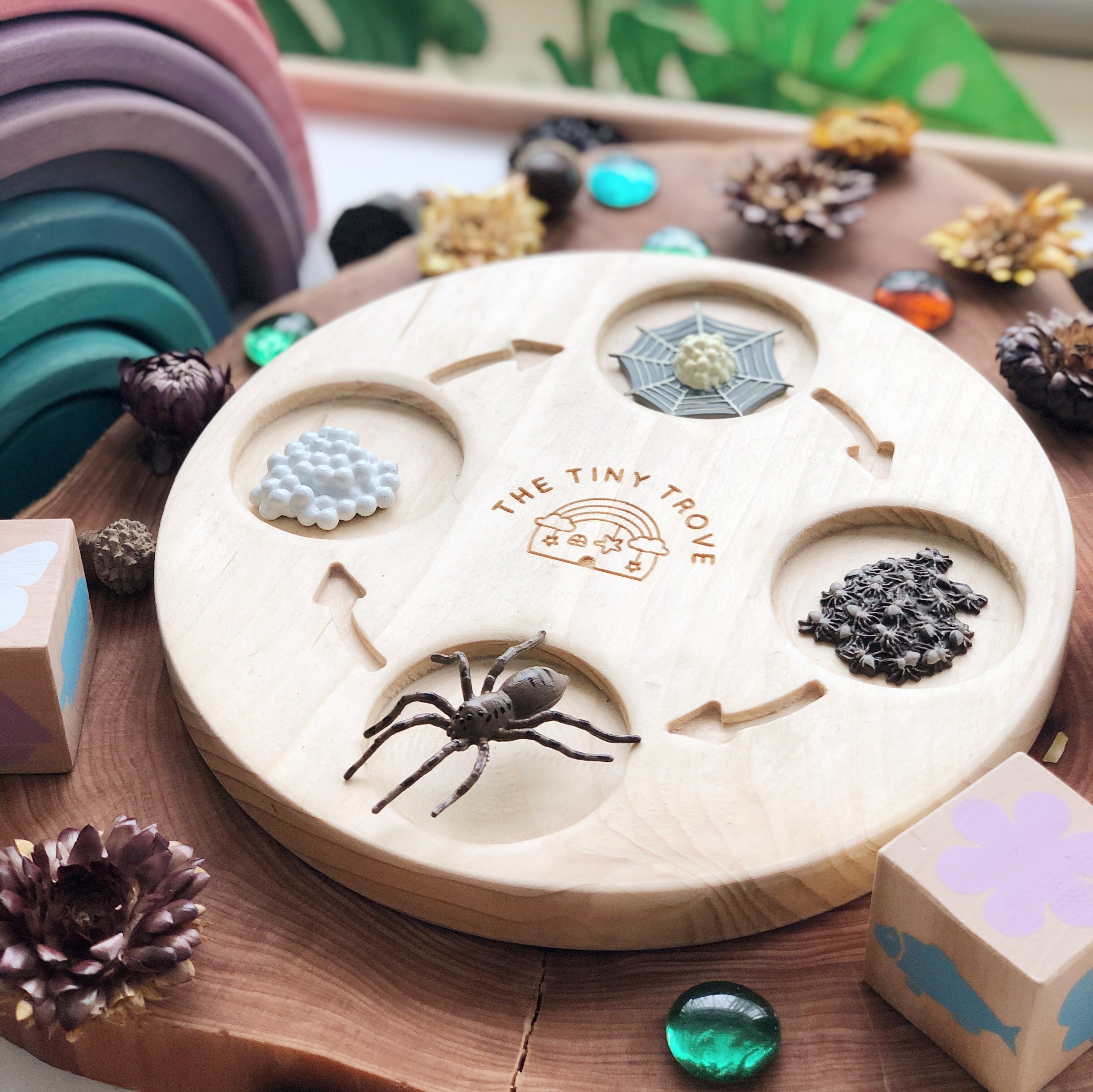 Life Cycle of a Spider Figurine Set