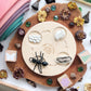 Life Cycle of an Ant Figurine Set
