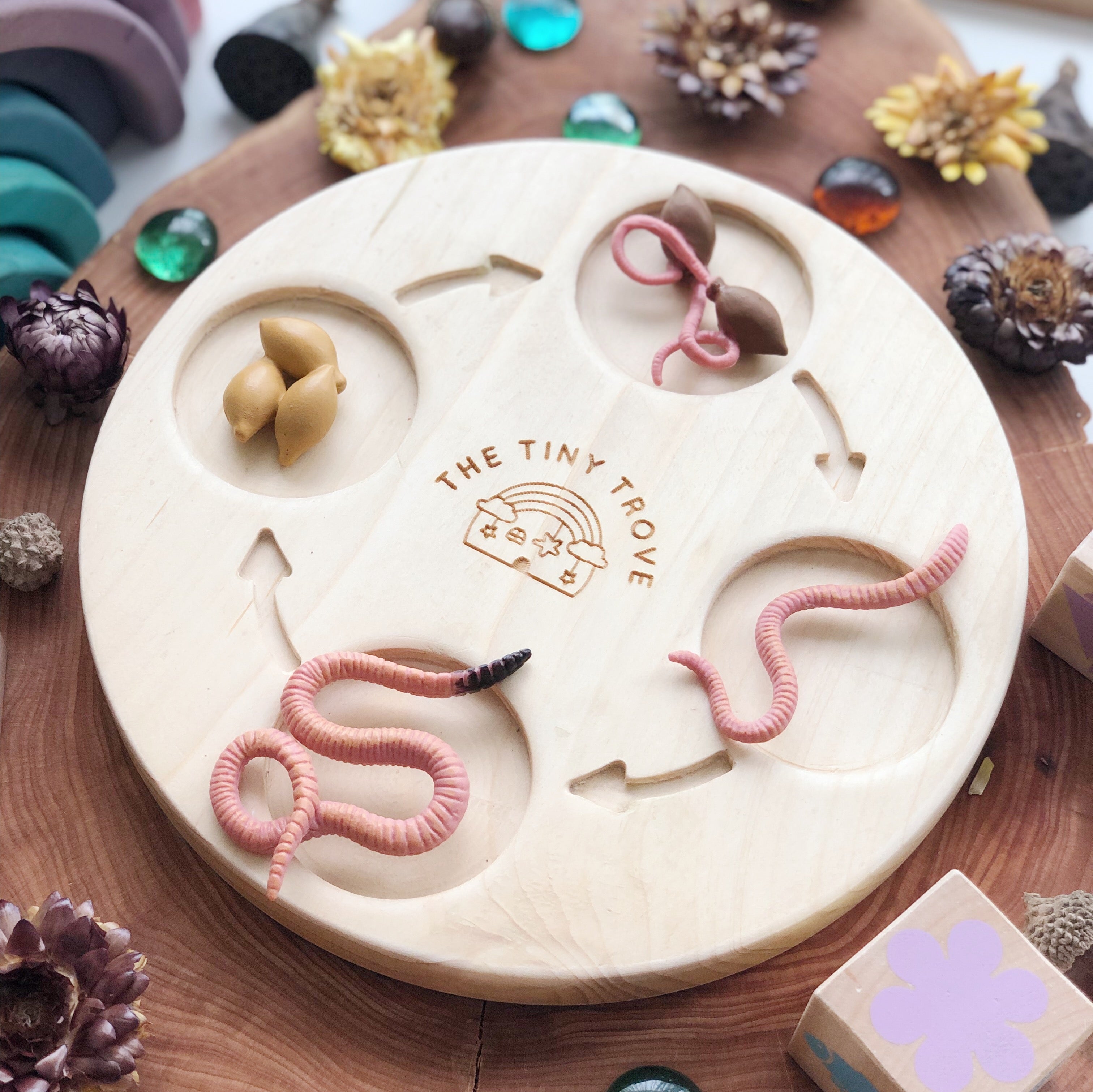 Life Cycle of a Worm Figurine Set