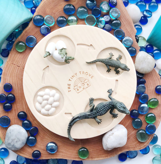 Life Cycle of a Crocodile Figurine Set