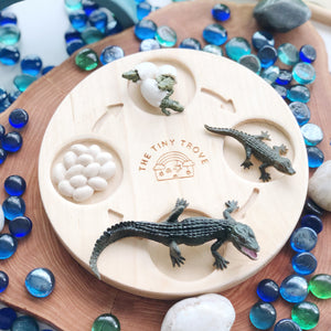 Life Cycle of a Crocodile Figurine Set