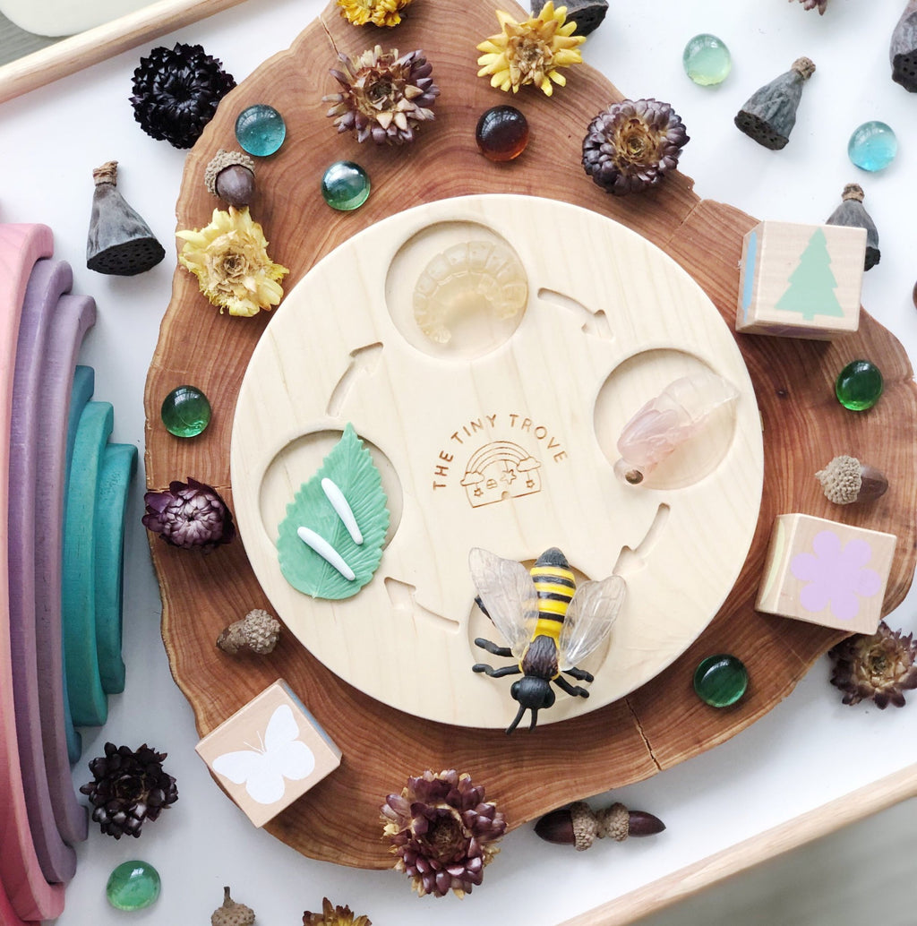 Life Cycle of a Bee Figurine Set