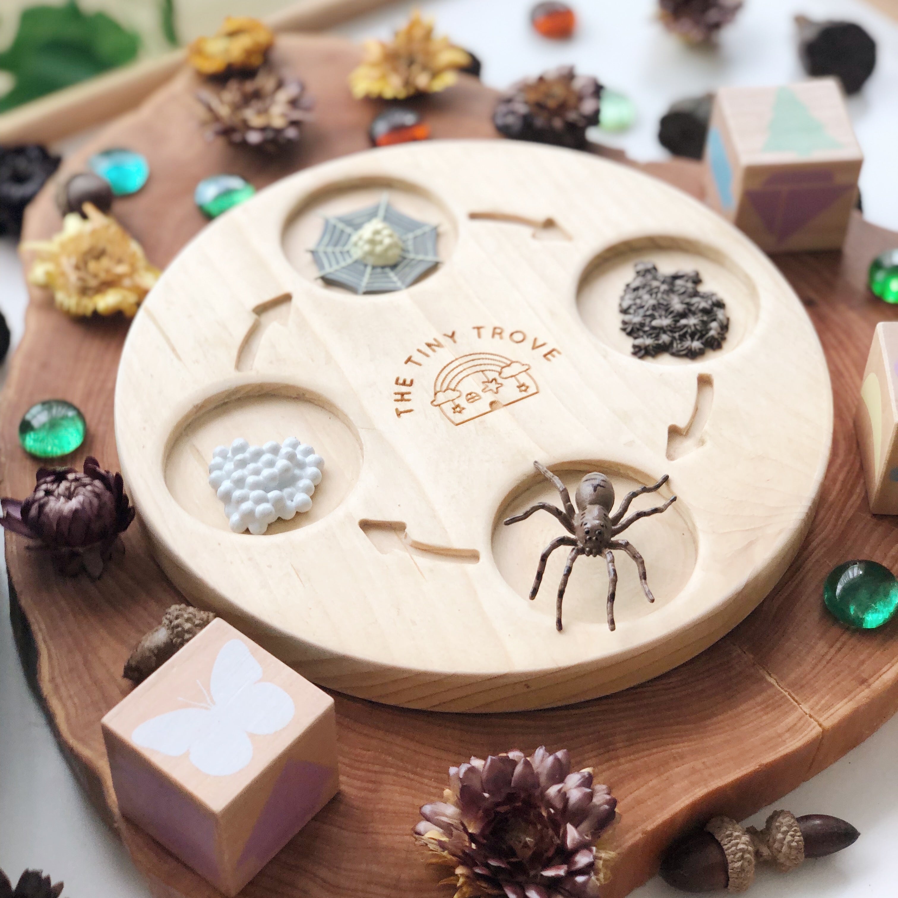 Life Cycle of a Spider Figurine Set