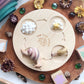 Life Cycle of a Snail Figurine Set