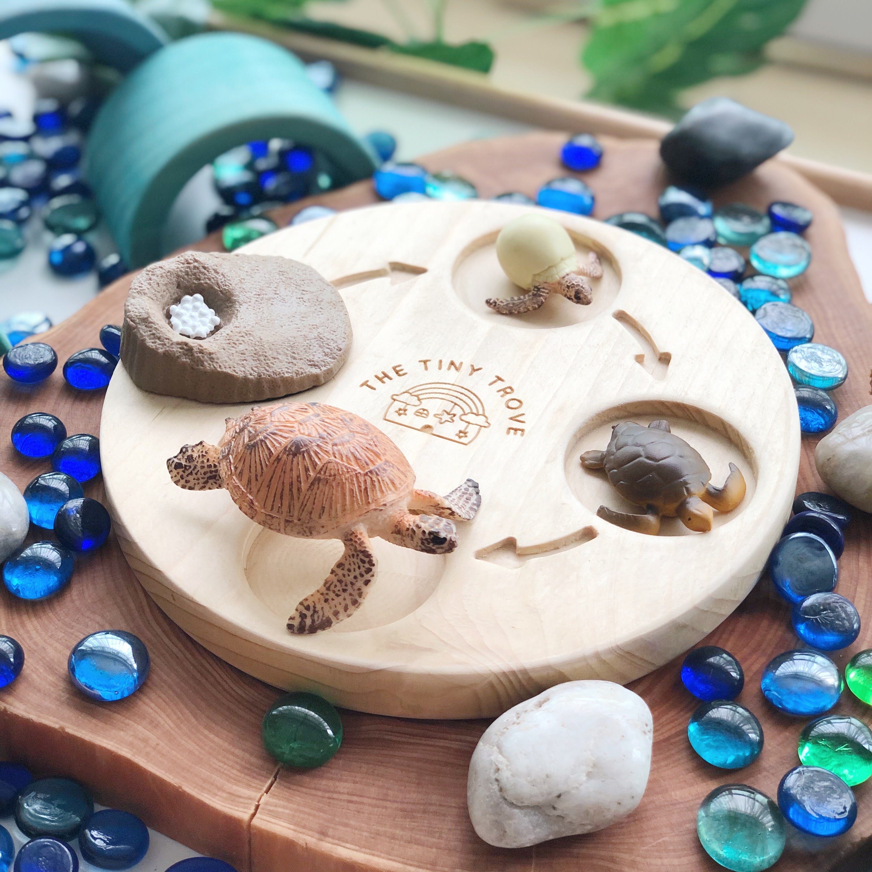 Life Cycle of a Turtle Figurine Set