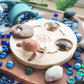 Life Cycle of a Turtle Figurine Set