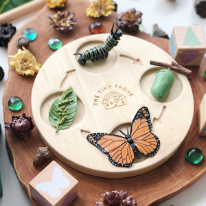 Life Cycle of a Butterfly Figurine Set