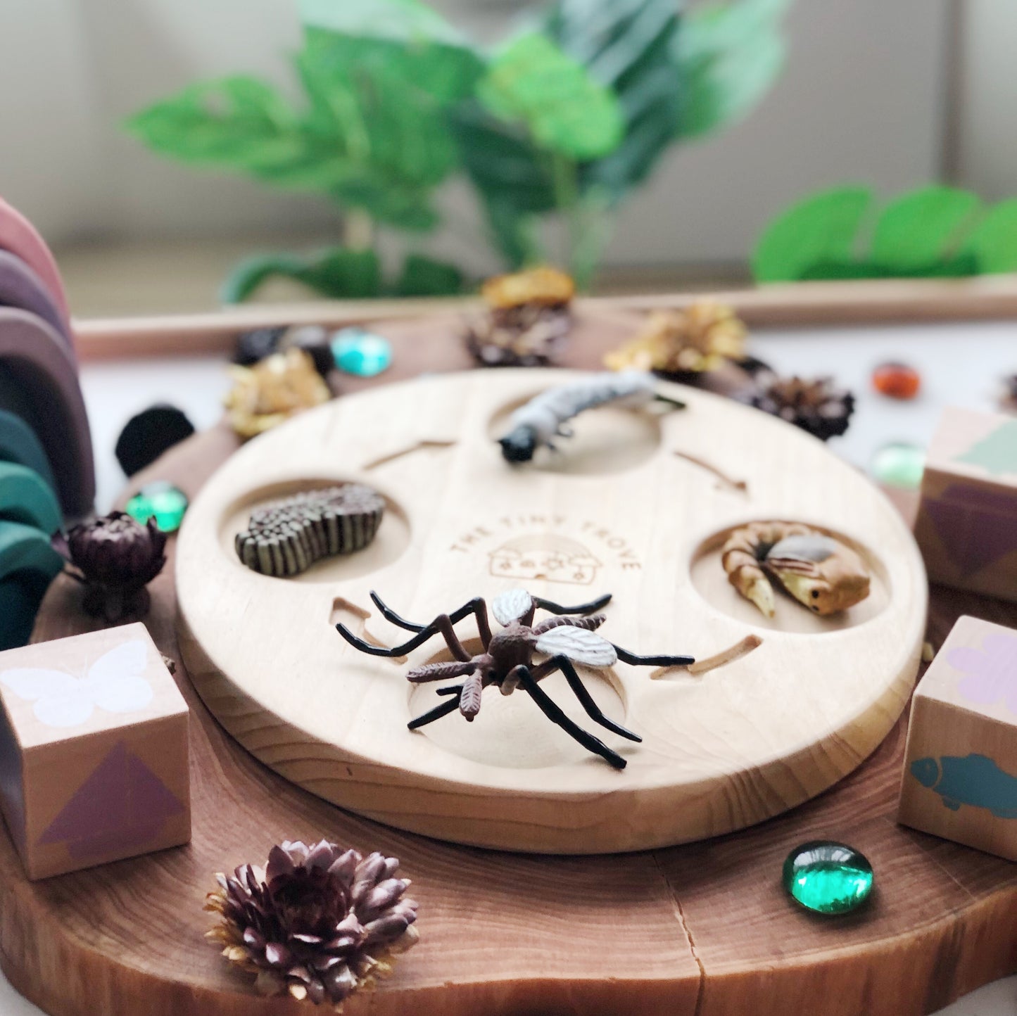 Life Cycle of a Mosquito Figurine Set