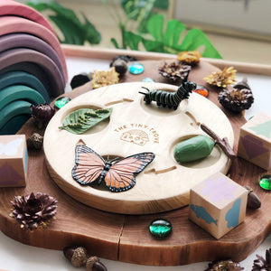 Life Cycle of a Butterfly Figurine Set