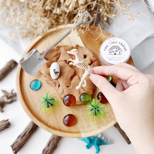 Dinosaur Excavation Play Dough Party Pack