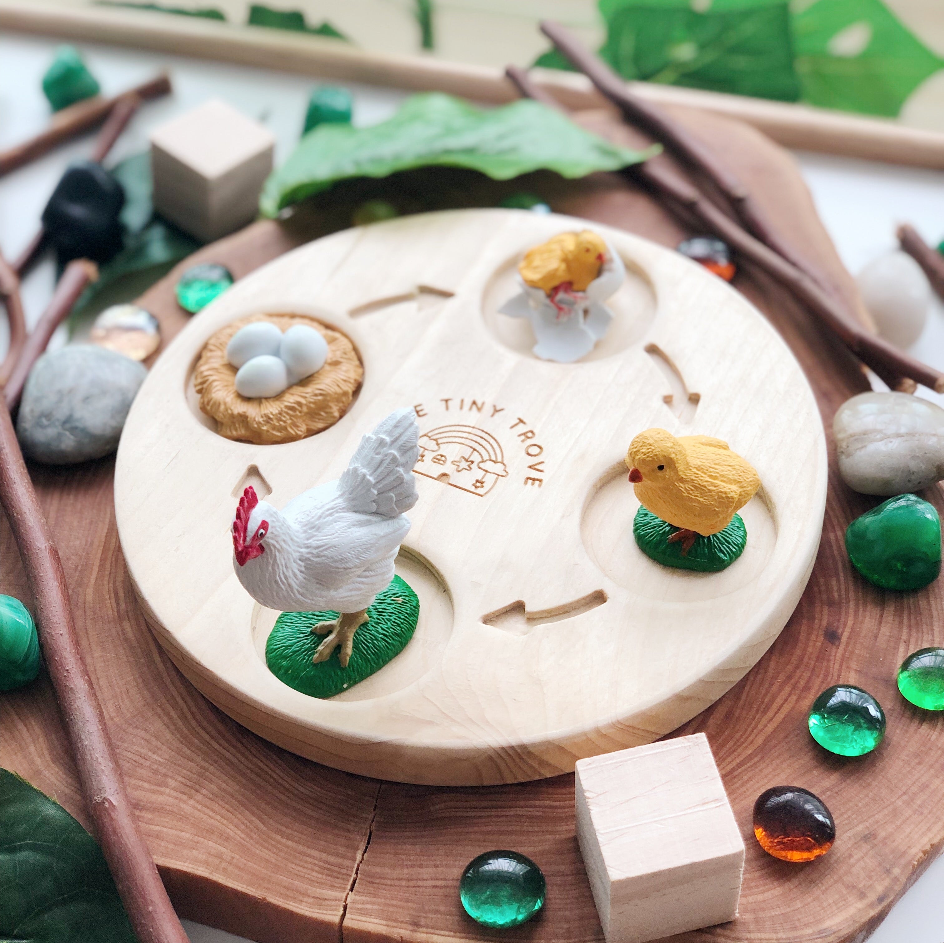 The Tiny Trove Wooden Life Cycle Learning Tray