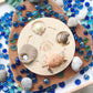 Life Cycle of a Turtle Figurine Set