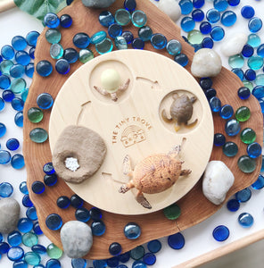 Life Cycle of a Turtle Figurine Set